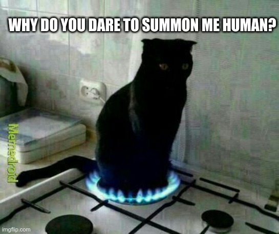 cat demon | WHY DO YOU DARE TO SUMMON ME HUMAN? | image tagged in cat | made w/ Imgflip meme maker