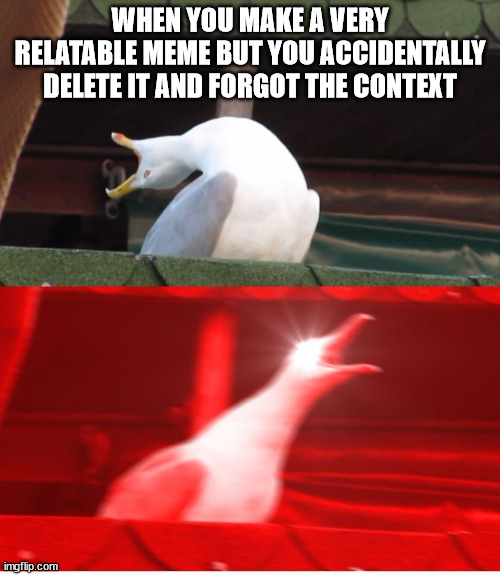 WHA- | WHEN YOU MAKE A VERY RELATABLE MEME BUT YOU ACCIDENTALLY DELETE IT AND FORGOT THE CONTEXT | image tagged in screamin seagull,memes | made w/ Imgflip meme maker