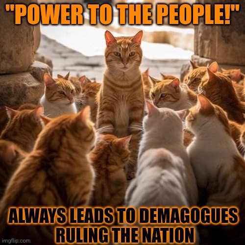 This #lolcat wonders if you really want 'The People!' to rule | "POWER TO THE PEOPLE!"; ALWAYS LEADS TO DEMAGOGUES 
RULING THE NATION | image tagged in we the people,lolcat,be careful,populism | made w/ Imgflip meme maker
