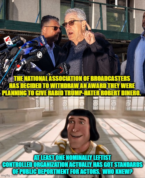 Yeah . . . who knew? | THE NATIONAL ASSOCIATION OF BROADCASTERS HAS DECIDED TO WITHDRAW AN AWARD THEY WERE PLANNING TO GIVE RABID TRUMP-HATER ROBERT DINERO. AT LEAST ONE NOMINALLY LEFTIST CONTROLLED ORGANIZATION ACTUALLY HAS GOT STANDARDS OF PUBLIC DEPORTMENT FOR ACTORS.  WHO KNEW? | image tagged in yep | made w/ Imgflip meme maker
