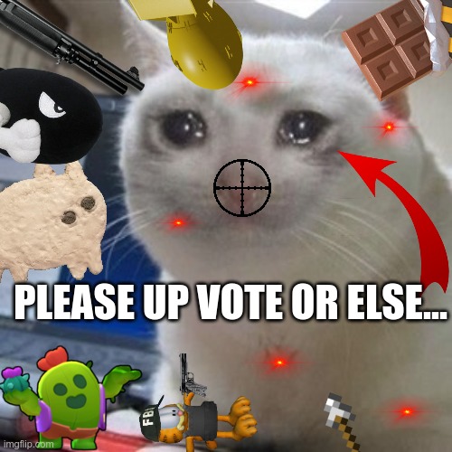 :( | PLEASE UP VOTE OR ELSE... | image tagged in crying cat | made w/ Imgflip meme maker