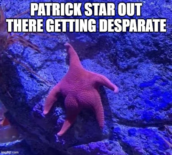 Starfish! | PATRICK STAR OUT THERE GETTING DESPARATE | image tagged in sex jokes | made w/ Imgflip meme maker