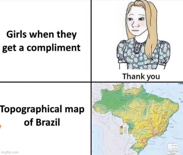 Fr | image tagged in brazil | made w/ Imgflip meme maker