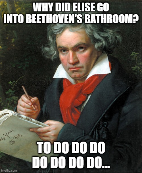 Hum the the Answer | WHY DID ELISE GO INTO BEETHOVEN'S BATHROOM? TO DO DO DO DO DO DO DO... | image tagged in beethoven | made w/ Imgflip meme maker