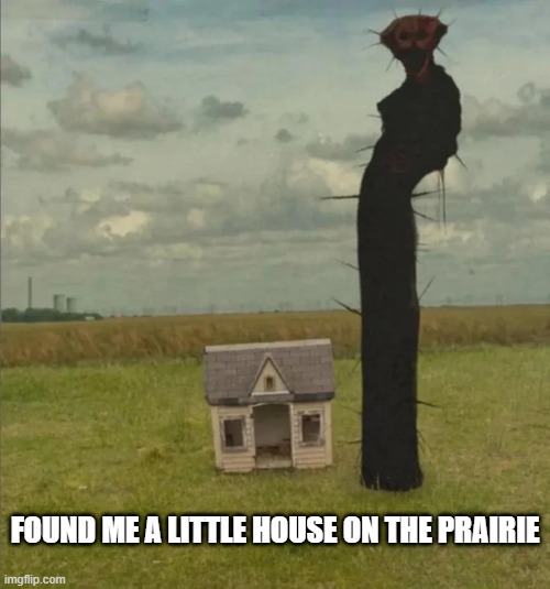 Let's Move In | FOUND ME A LITTLE HOUSE ON THE PRAIRIE | image tagged in cursed image | made w/ Imgflip meme maker