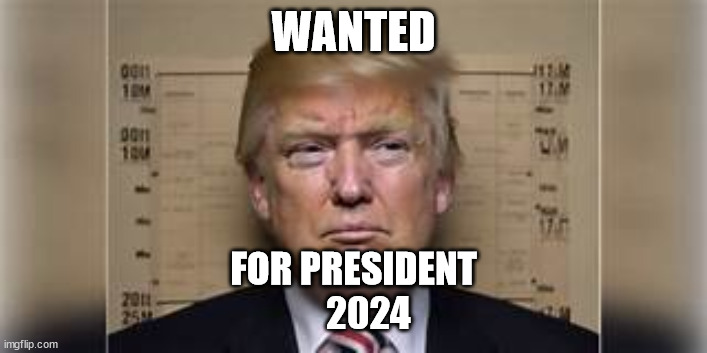 Wanted | WANTED; FOR PRESIDENT
    2024 | image tagged in wanted | made w/ Imgflip meme maker