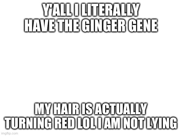 Y'ALL I LITERALLY HAVE THE GINGER GENE; MY HAIR IS ACTUALLY TURNING RED LOL I AM NOT LYING | made w/ Imgflip meme maker