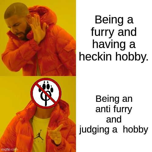 Every anti furry in a nutshell | Being a furry and having a heckin hobby. Being an anti furry and judging a  hobby | image tagged in memes,drake hotline bling | made w/ Imgflip meme maker