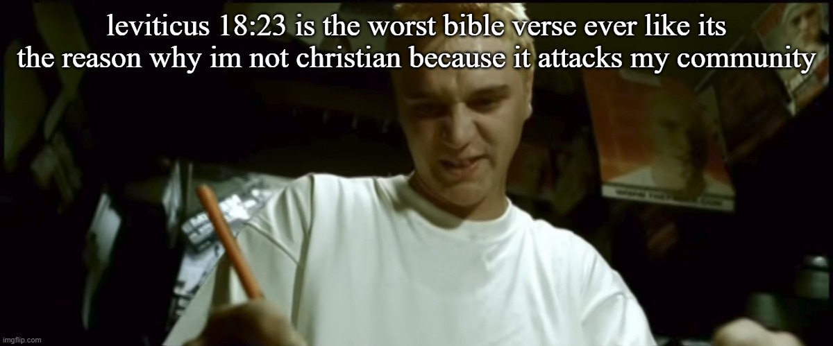 /j /j /j /j /j /j /j /j /j /j /j | leviticus 18:23 is the worst bible verse ever like its the reason why im not christian because it attacks my community | image tagged in stan eminem | made w/ Imgflip meme maker