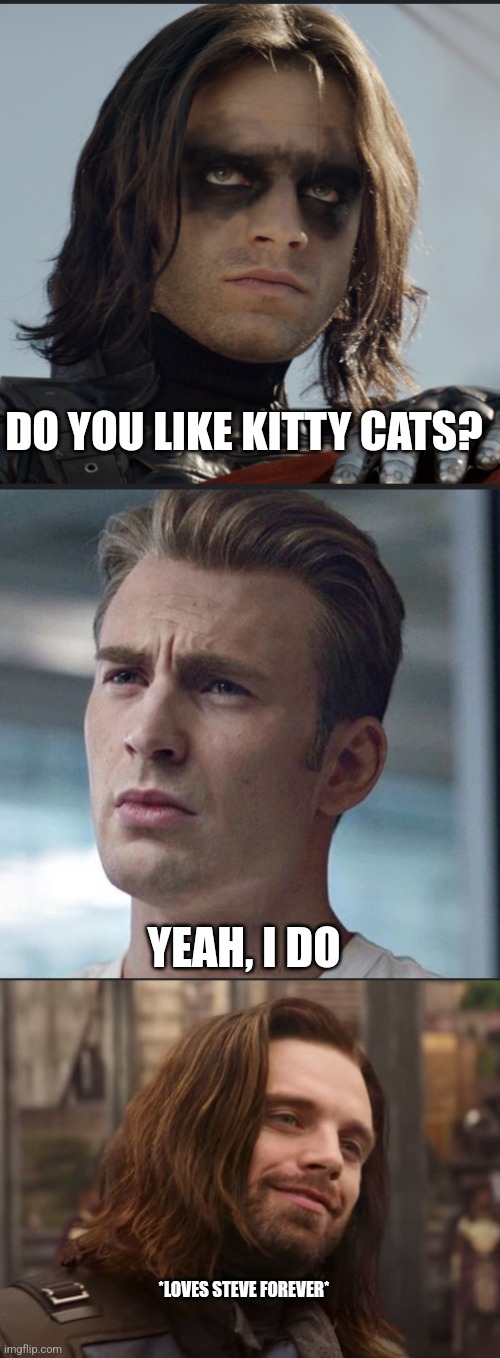 Bucky and Steve forever | DO YOU LIKE KITTY CATS? YEAH, I DO; *LOVES STEVE FOREVER* | image tagged in captain america,cats,winter soldier | made w/ Imgflip meme maker