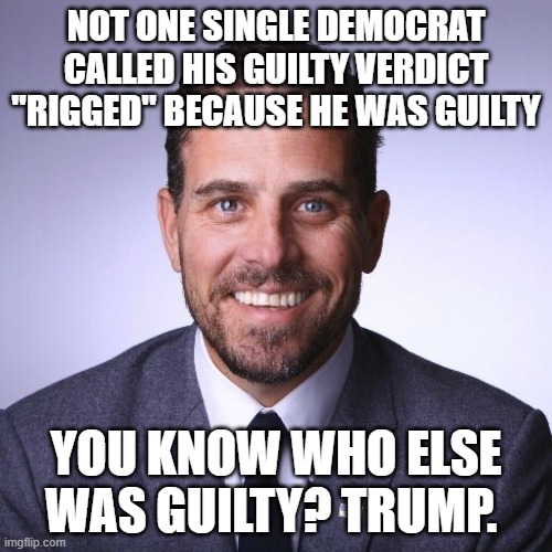 Hunter Biden | NOT ONE SINGLE DEMOCRAT CALLED HIS GUILTY VERDICT "RIGGED" BECAUSE HE WAS GUILTY; YOU KNOW WHO ELSE WAS GUILTY? TRUMP. | image tagged in hunter biden | made w/ Imgflip meme maker