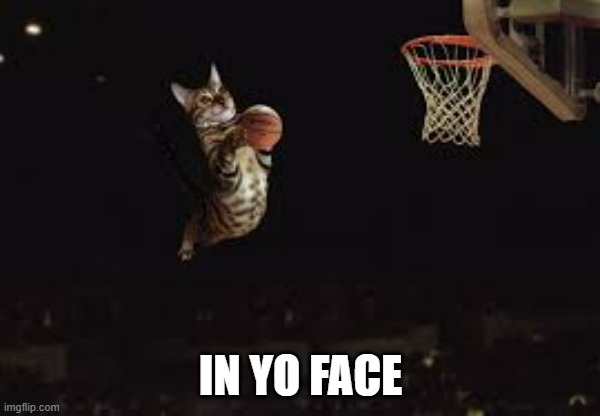 memes by Brad - cat slamming a basketball | IN YO FACE | image tagged in cats,funny cats,funny,basketball meme,kittens,humor | made w/ Imgflip meme maker
