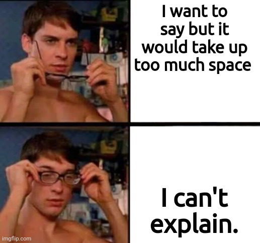 Peter Parker's Glasses | I want to say but it would take up too much space I can't explain. | image tagged in peter parker's glasses | made w/ Imgflip meme maker