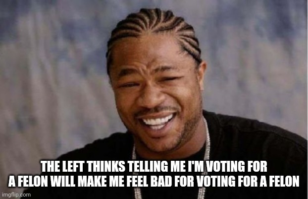 I don't care. | THE LEFT THINKS TELLING ME I'M VOTING FOR A FELON WILL MAKE ME FEEL BAD FOR VOTING FOR A FELON | image tagged in memes,yo dawg heard you | made w/ Imgflip meme maker