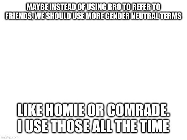 MAYBE INSTEAD OF USING BRO TO REFER TO FRIENDS, WE SHOULD USE MORE GENDER NEUTRAL TERMS; LIKE HOMIE OR COMRADE. I USE THOSE ALL THE TIME | made w/ Imgflip meme maker