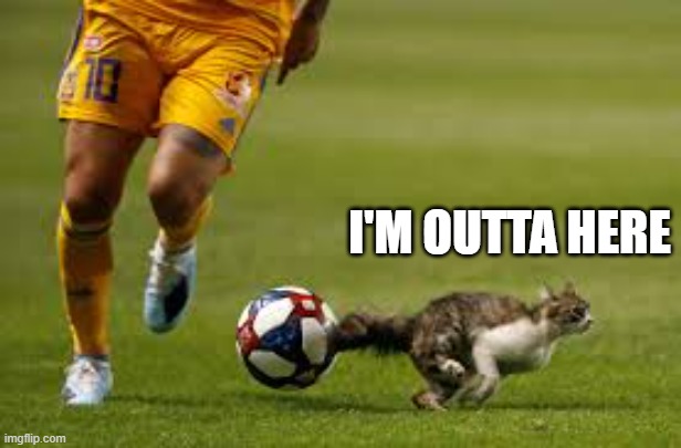 memes by Brad - cat on soccer field | I'M OUTTA HERE | image tagged in cats,funny,soccer,kitten,funny cat memes,humor | made w/ Imgflip meme maker