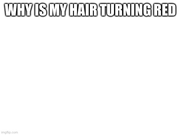 WHY IS MY HAIR TURNING RED | made w/ Imgflip meme maker