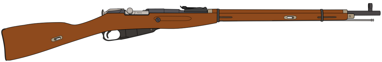 Mosin-Nagant M1981/30 Blank Meme Template