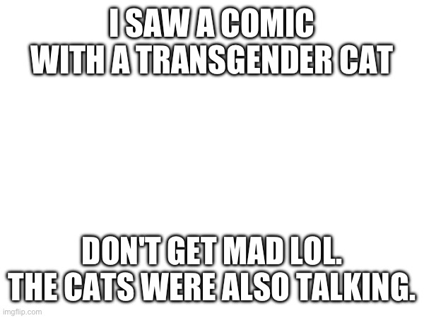 In a comic where cats can talk a cat can be trans | I SAW A COMIC WITH A TRANSGENDER CAT; DON'T GET MAD LOL. THE CATS WERE ALSO TALKING. | made w/ Imgflip meme maker