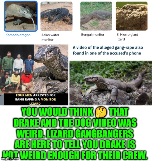 Funny | YOU WOULD THINK 🤔 THAT DRAKE AND THE DOG VIDEO WAS WEIRD. LIZARD GANGBANGERS ARE HERE TO TELL YOU DRAKE IS NOT WEIRD ENOUGH FOR THEIR CREW. | image tagged in funny,lizard,india,deviantart,freedom,sex | made w/ Imgflip meme maker
