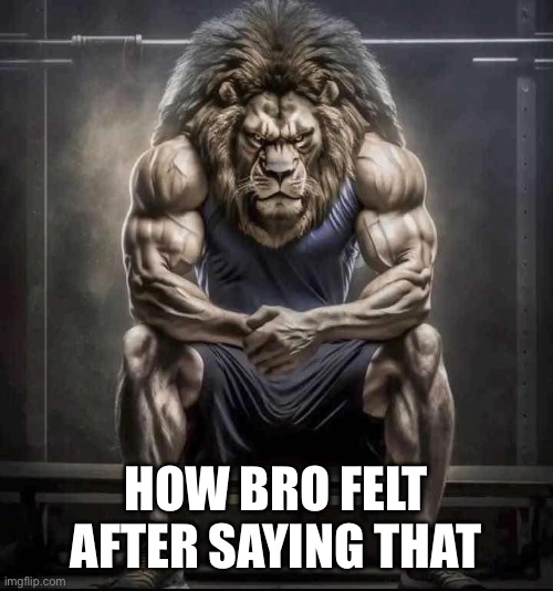 How bro felt after saying that | HOW BRO FELT AFTER SAYING THAT | image tagged in how bro felt after saying that | made w/ Imgflip meme maker