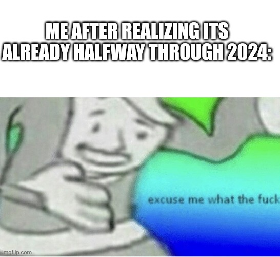 Where did everything go...? | ME AFTER REALIZING ITS ALREADY HALFWAY THROUGH 2024: | image tagged in excuse me wtf blank template | made w/ Imgflip meme maker