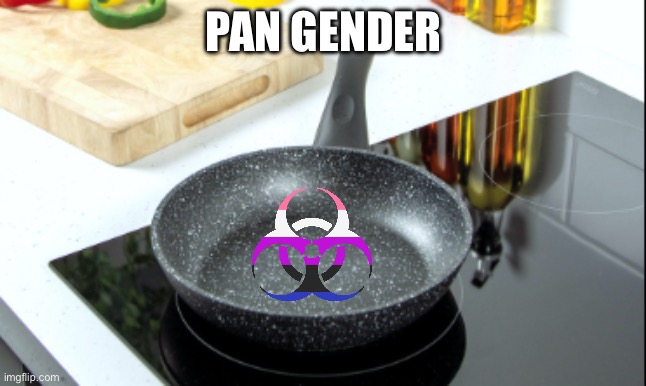 pan | PAN GENDER | image tagged in pan | made w/ Imgflip meme maker