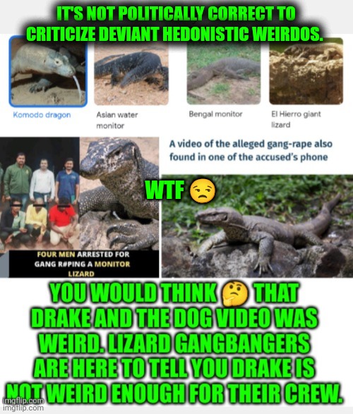 Funny | IT'S NOT POLITICALLY CORRECT TO CRITICIZE DEVIANT HEDONISTIC WEIRDOS. WTF 😒 | image tagged in funny,political correctness,political meme,deviantart,lizard,sex | made w/ Imgflip meme maker