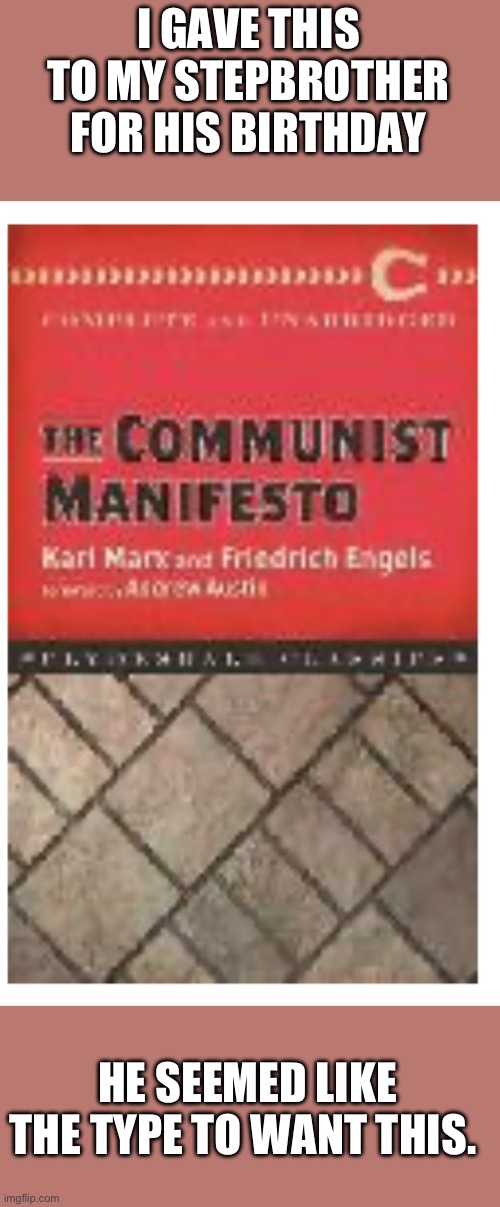 He liked it. I am best stepsister | I GAVE THIS TO MY STEPBROTHER FOR HIS BIRTHDAY; HE SEEMED LIKE THE TYPE TO WANT THIS. | made w/ Imgflip meme maker