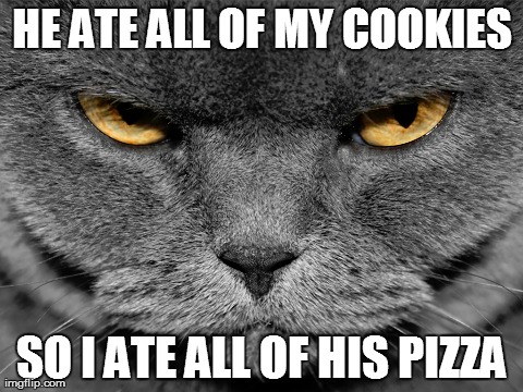 HE ATE ALL OF MY COOKIES SO I ATE ALL OF HIS PIZZA | made w/ Imgflip meme maker