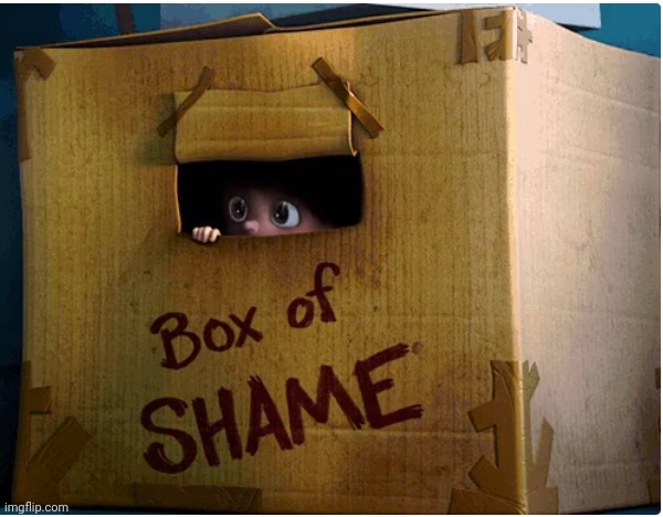 box of shame | image tagged in box of shame | made w/ Imgflip meme maker