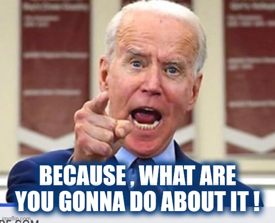 Joe Biden no malarkey | BECAUSE , WHAT ARE YOU GONNA DO ABOUT IT ! | image tagged in joe biden no malarkey | made w/ Imgflip meme maker