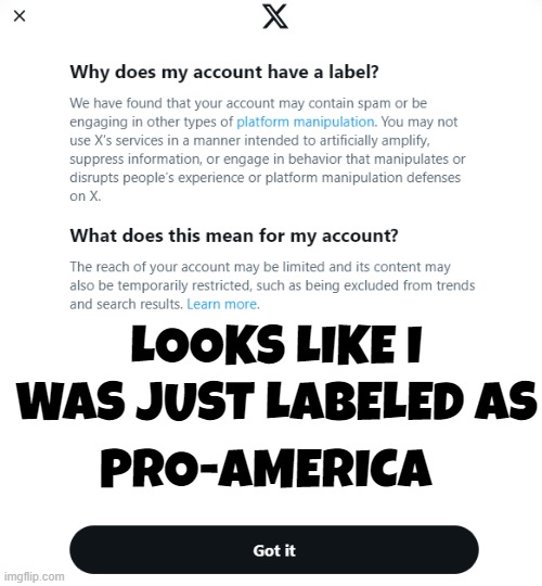 Pro America Label | LOOKS LIKE I WAS JUST LABELED AS; PRO-AMERICA | image tagged in twitter,maga,make america great again,patriot,trump,fjb | made w/ Imgflip meme maker