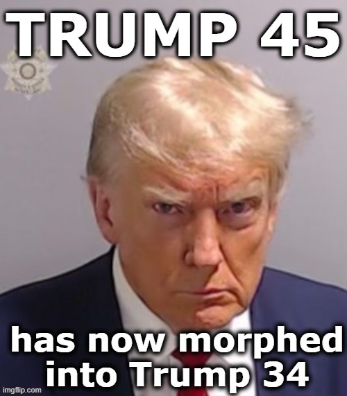 Trump 34 | image tagged in potus45,donald trump,nevertrump meme,maga,basket of deplorables,donald trump is an idiot | made w/ Imgflip meme maker