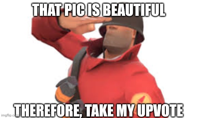 Tf2 soldier salute | THAT PIC IS BEAUTIFUL THEREFORE, TAKE MY UPVOTE | image tagged in tf2 soldier salute | made w/ Imgflip meme maker