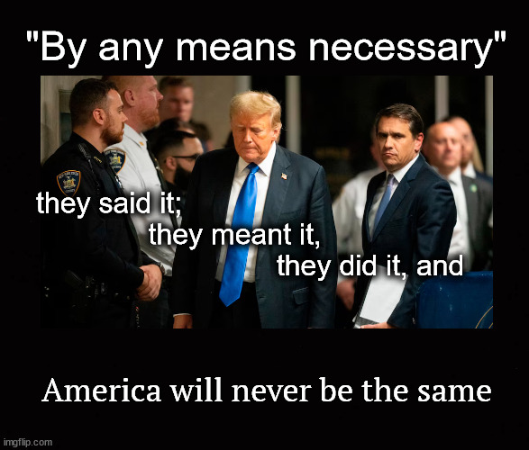 "By any means necessary" | "By any means necessary"; they said it;
              they meant it,  
                              they did it, and; America will never be the same | image tagged in trump,by any means necessary,34 convictions | made w/ Imgflip meme maker