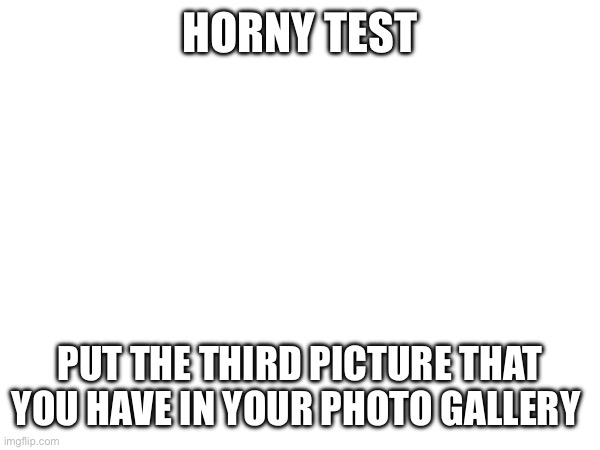 (If the picture is something very personal or something you don’t want to share, just put the second or fourth picture you have) | HORNY TEST; PUT THE THIRD PICTURE THAT YOU HAVE IN YOUR PHOTO GALLERY | image tagged in horny test,mf,lala sucks | made w/ Imgflip meme maker