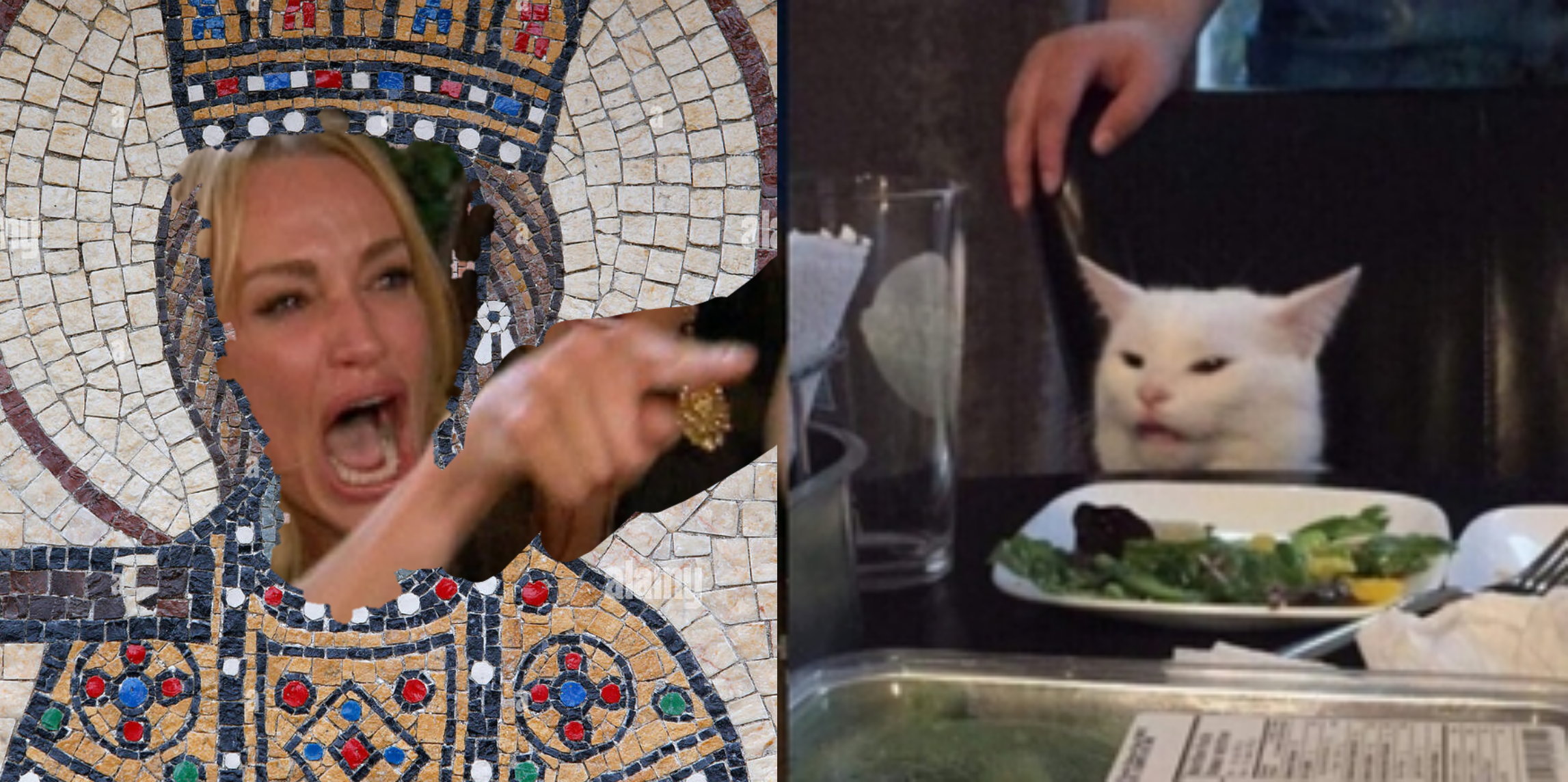 High Quality St Helen cats in Cyprus Blank Meme Template