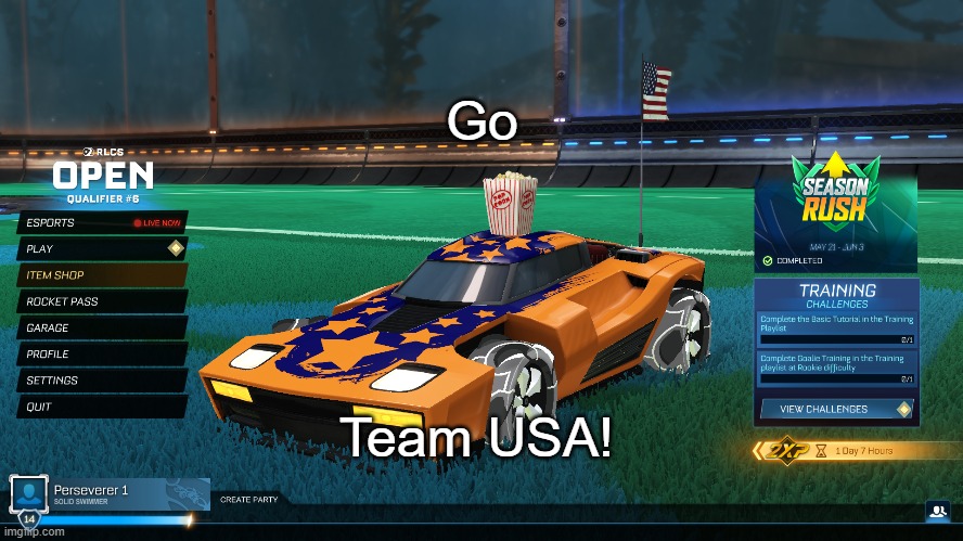 Go Team USA! | Go; Team USA! | image tagged in olympics | made w/ Imgflip meme maker