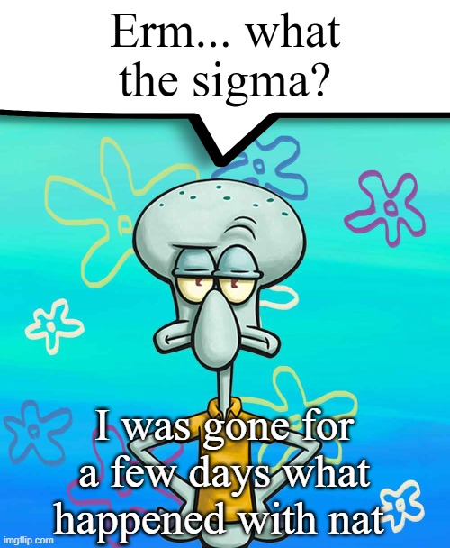 Erm... what the sigma? | I was gone for a few days what happened with nat | image tagged in erm what the sigma | made w/ Imgflip meme maker