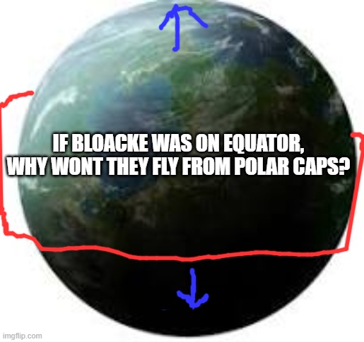 naboo.exe | IF BLOACKE WAS ON EQUATOR, WHY WONT THEY FLY FROM POLAR CAPS? | image tagged in naboo exe | made w/ Imgflip meme maker