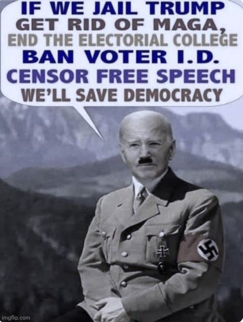 What saving democracy means | image tagged in hitler,us-president-joe-biden,save me | made w/ Imgflip meme maker