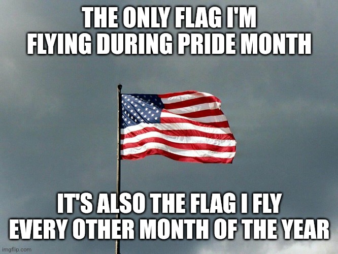 Pride flag | THE ONLY FLAG I'M FLYING DURING PRIDE MONTH; IT'S ALSO THE FLAG I FLY EVERY OTHER MONTH OF THE YEAR | image tagged in american flag | made w/ Imgflip meme maker