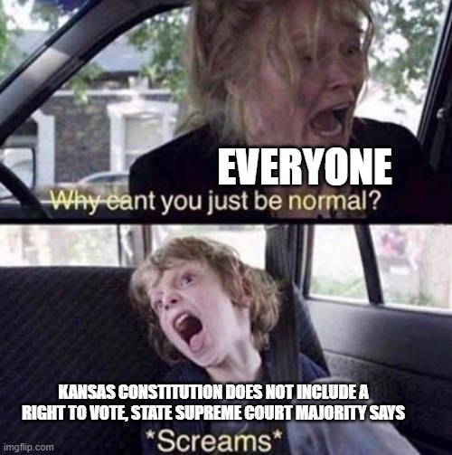 Kansas Constitution does not include a right to vote, state Supreme Court majority says | EVERYONE; KANSAS CONSTITUTION DOES NOT INCLUDE A RIGHT TO VOTE, STATE SUPREME COURT MAJORITY SAYS | image tagged in why can't you just be normal,kansas | made w/ Imgflip meme maker