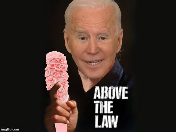 Above The Law | image tagged in joe biden,democrats,i am above the law,steven seagal | made w/ Imgflip meme maker