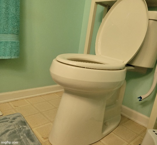 WHY THE FUCK IS MY GRANDMA'S TOILET SO HIGH UP??? IT'S AT MY FUCKING KNEE LEVEL | made w/ Imgflip meme maker