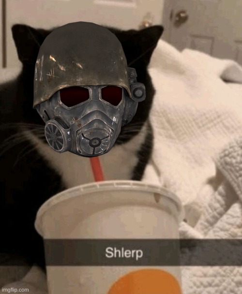 Shlerp | image tagged in shlerp | made w/ Imgflip meme maker
