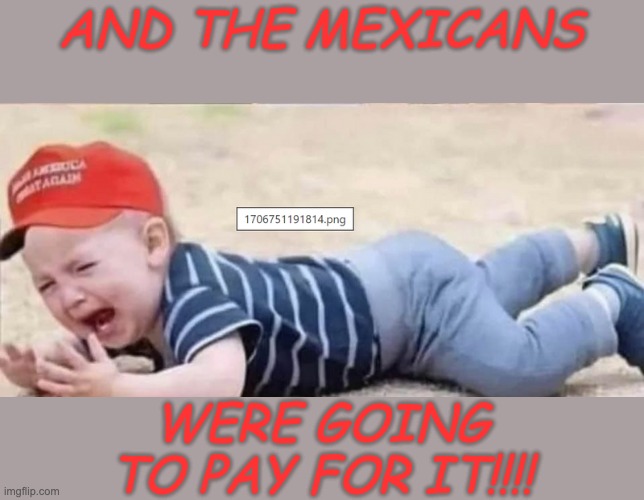 MAGA Crying | AND THE MEXICANS WERE GOING
TO PAY FOR IT!!!! | image tagged in maga crying | made w/ Imgflip meme maker