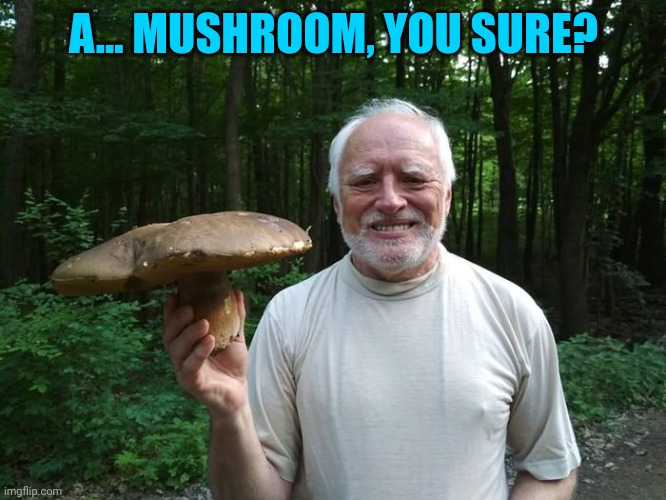 Hide The Pain Harold Holding A Mushroom | A... MUSHROOM, YOU SURE? | image tagged in hide the pain harold holding a mushroom | made w/ Imgflip meme maker