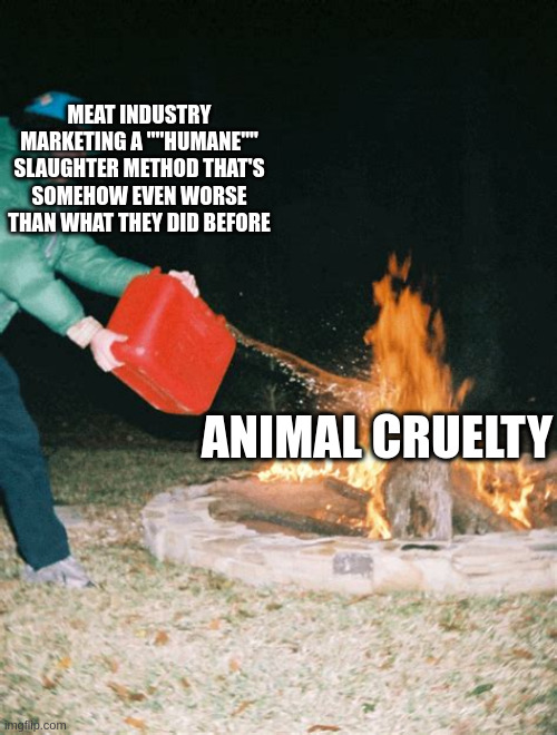Using CO2 gas has turned out to be quite horrible | MEAT INDUSTRY MARKETING A ""HUMANE"" SLAUGHTER METHOD THAT'S SOMEHOW EVEN WORSE THAN WHAT THEY DID BEFORE; ANIMAL CRUELTY | image tagged in guy pouring gasoline into fire,animal rights,torture,slaughter,consumerism,capitalism | made w/ Imgflip meme maker